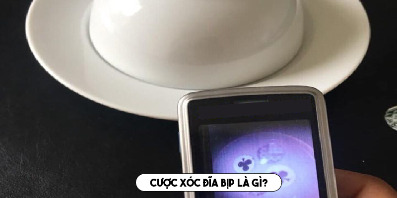 Tìm hiểu về thủ thuật cược xóc đĩa bịp