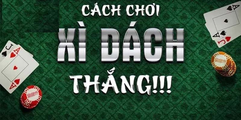 Bí quyết chơi Xì dách tại SHBET dành cho người mới